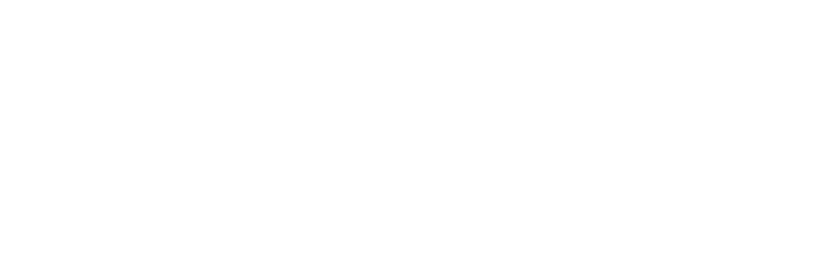 Logo Seinsei Blanc